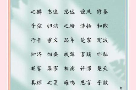 辛时出生的属兔男孩怎么取名字姓名