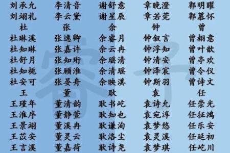 2019年处暑出生的男宝宝叫什么小名好？姓名