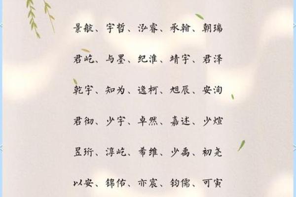 2月份出生的属猪男孩起什么名字好姓名