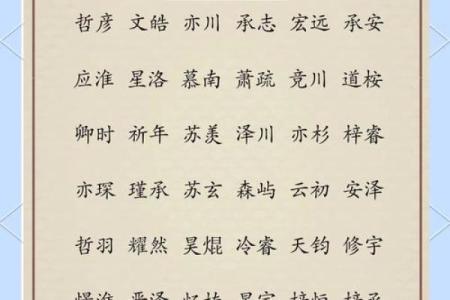 2月份出生的属猪男孩起什么名字好姓名